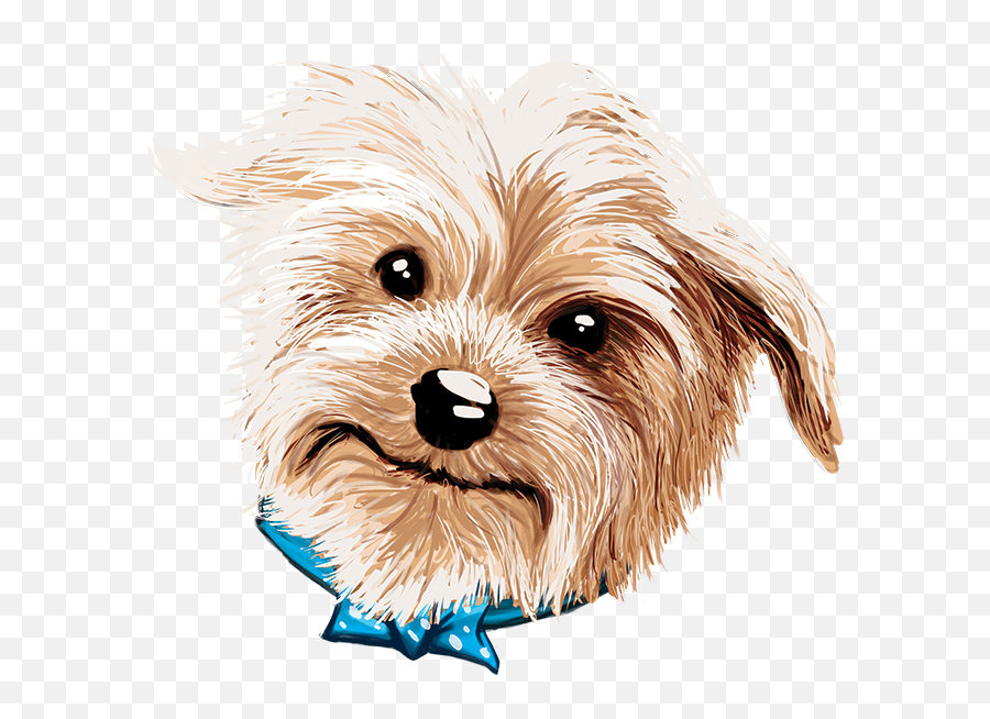 Yorkie Charles I Treat You Treat We All Bark For Dog Treats Emoji,Dog Treat Clipart