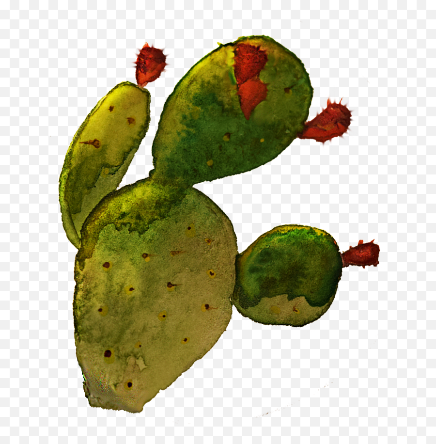 El Topo Emoji,Watercolor Cactus Png