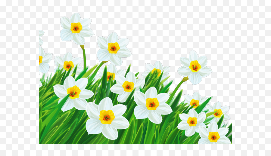 Easter Flower Clipart Daffodil - Clip Art Daffodil Emoji,Spring Flower Clipart