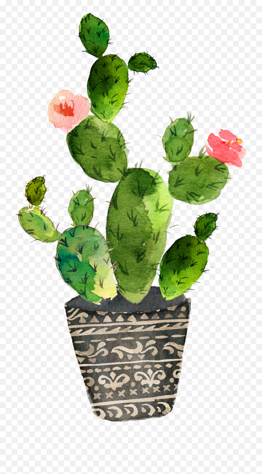 Download Cactaceae Painting Succulent - Watercolor Kaktus Emoji,Cactus Transparent Background