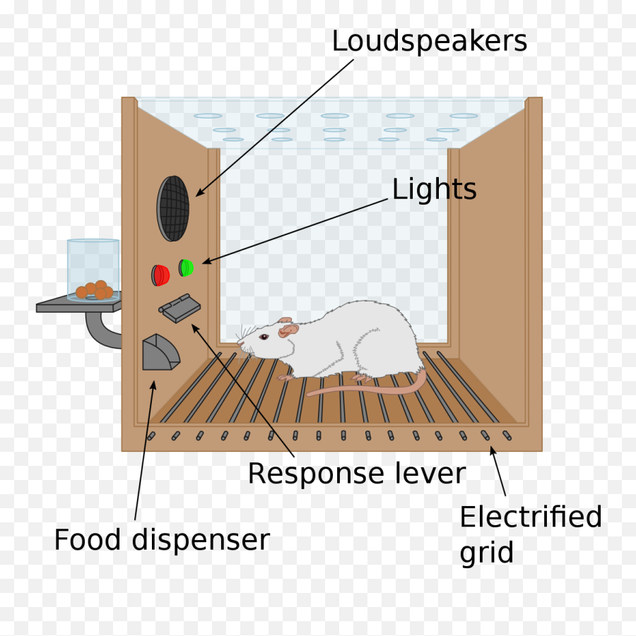 Operant Conditioning Chamber - Wikipedia Skinner Box Emoji,Rat Transparent Background