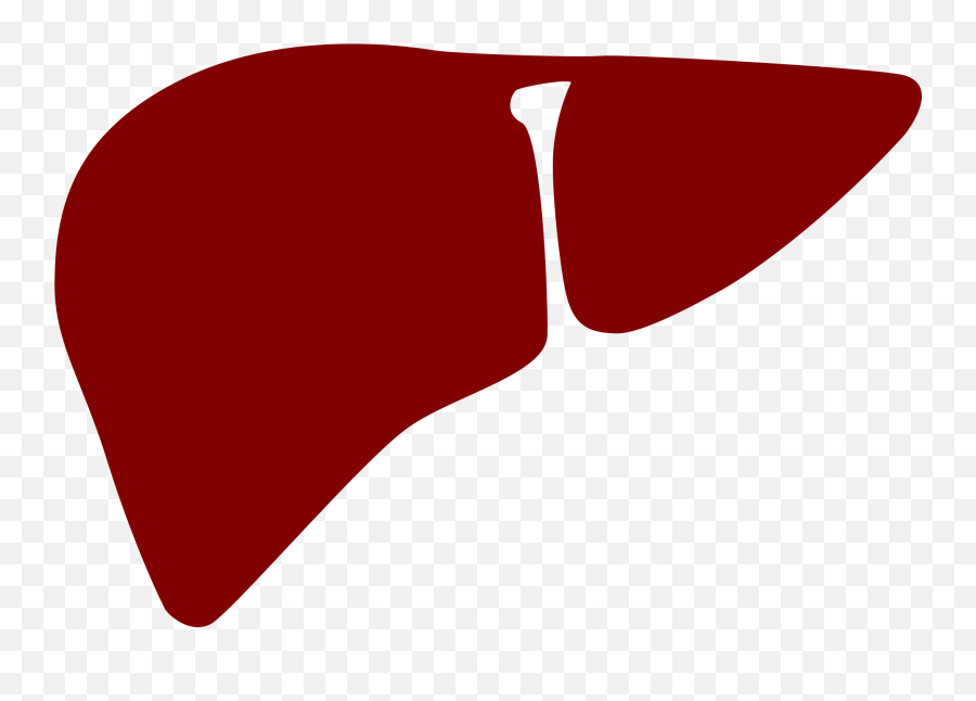 File Noun Cc Red Wikimedia Commons Open - Transparent Liver Png Emoji,Liver Clipart