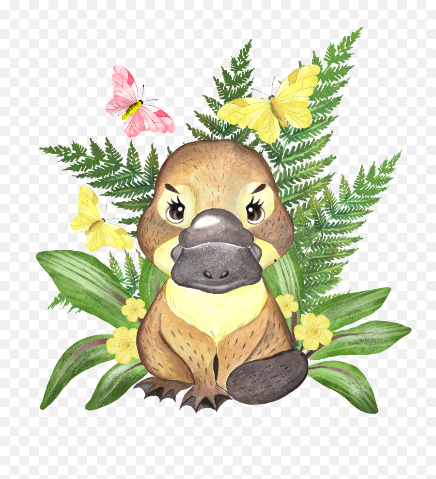 Australian Animals Clipart Koala Platypus Quokka Flowers - Platypus Flowers Emoji,Animals Clipart