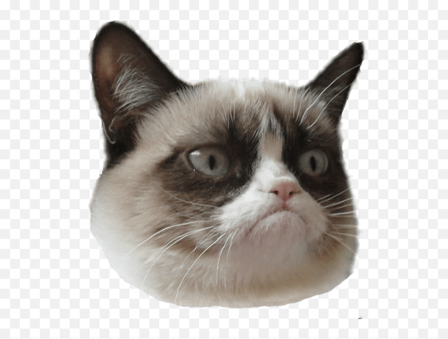Grumpy Cat Face Transparent Background Png Mart - Transparent Cat Head Png Emoji,Cat Transparent