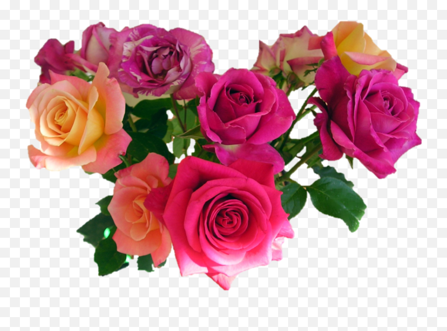 Bouquet Of Flowers Png Photo Image Png Play - Transparent Background Real Flowers Png Emoji,Flowers Png