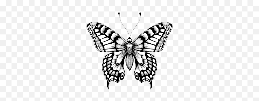 Butterfly Clipart Black And White - Butterfly Tattoo Vector Emoji,Butterfly Clipart Black And White
