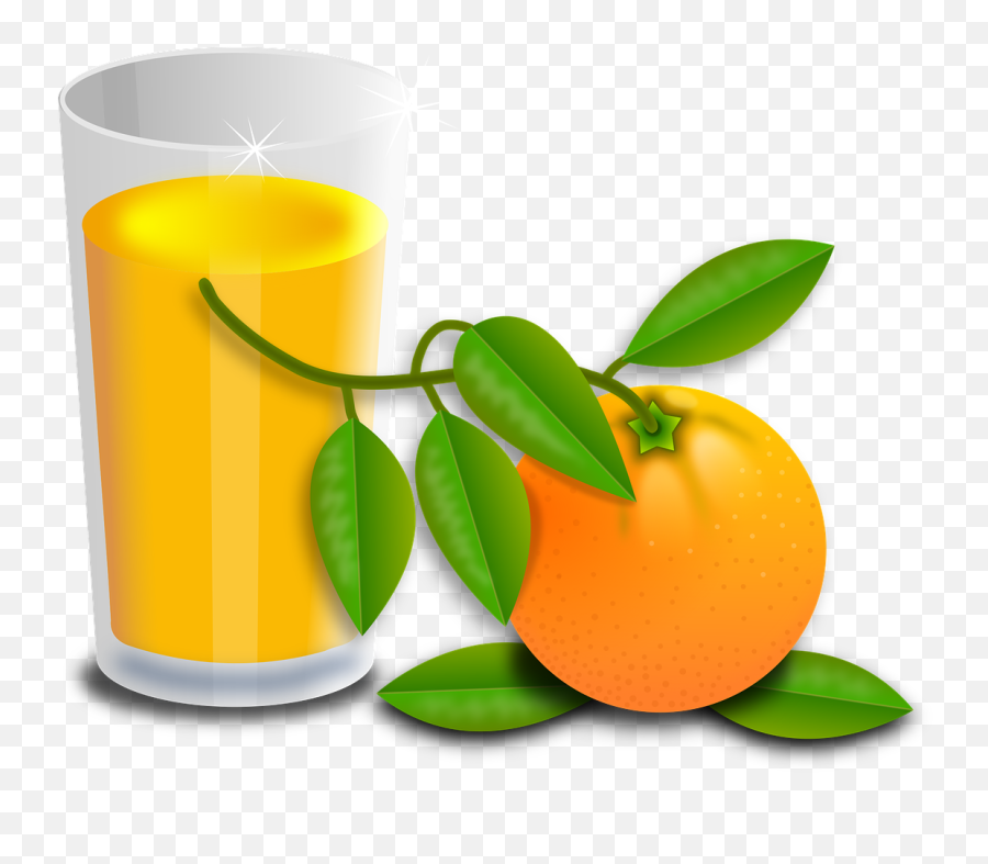 Oranges Fruit Fruits Orange Tree Png Emoji,Orange Tree Png