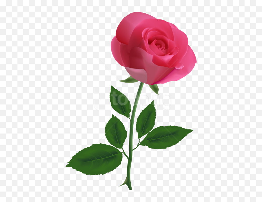 Rose Clip Art - Transparent Transparent Background Pink Rose Emoji,Rose Transparent Background