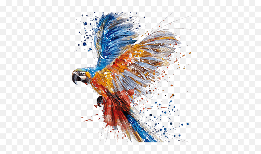 Parrot Watercolor Painting Drawing Art - Colourful Bird Painting On Wall Emoji,Watercolor Clipart