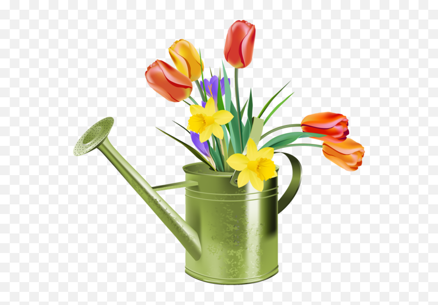 Tulip Borders Clip Art Daffodil Flower - Clipart Tulips And Daffodils Emoji,Daffodil Clipart