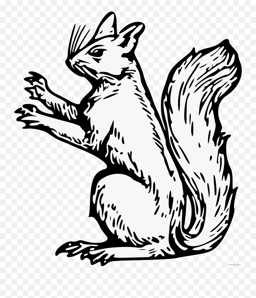 Squirrel Animal Free Black White Clipart Images Clipartblack - Squirrel Family Crest Emoji,Animal Clipart Black And White