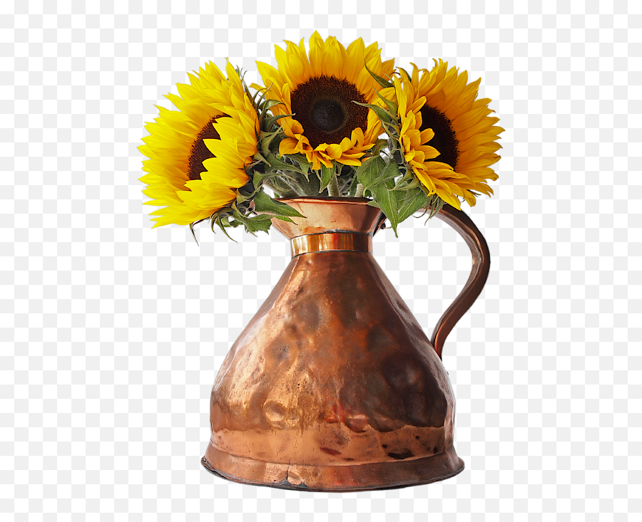 Sunflowers In Copper Pitcher On White Spiral Notebook - Copper Emoji,Transparent Sunflowers
