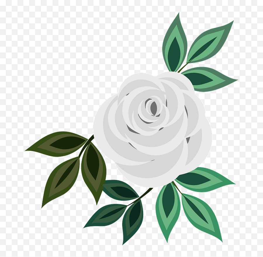White Rose Clipart Emoji,White Roses Clipart