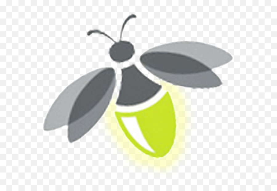 Library Of Fire Fly Graphic Library Png Files Clipart - Transparent Background Firefly Clipart Emoji,Fly Clipart