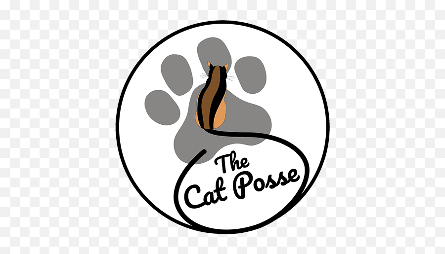 Brielle U2014 Cats U2014 The Cat Posse Emoji,Tuxedo Cat Clipart