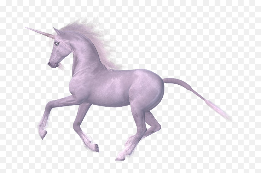 White Horse Magic Horse Unicorn Fairy Png Transparent Emoji,White Horse Png