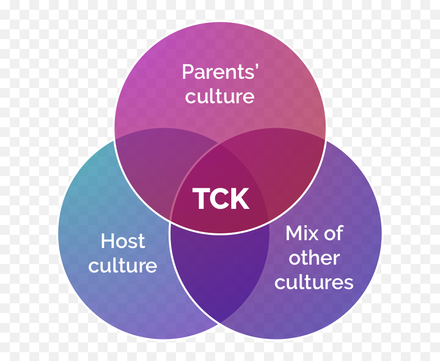 Cultureclub Community Platform For Third Culture Kids - Diagram Third Culture Kids Emoji,What Is A Png
