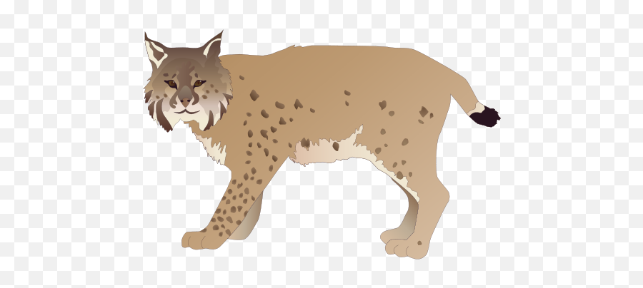 Lynx Png Cliparts Emoji,Bobcat Clipart