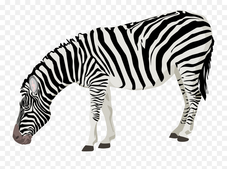 Cartoon Zebra Clipart - Zebra Png Emoji,Zebra Clipart