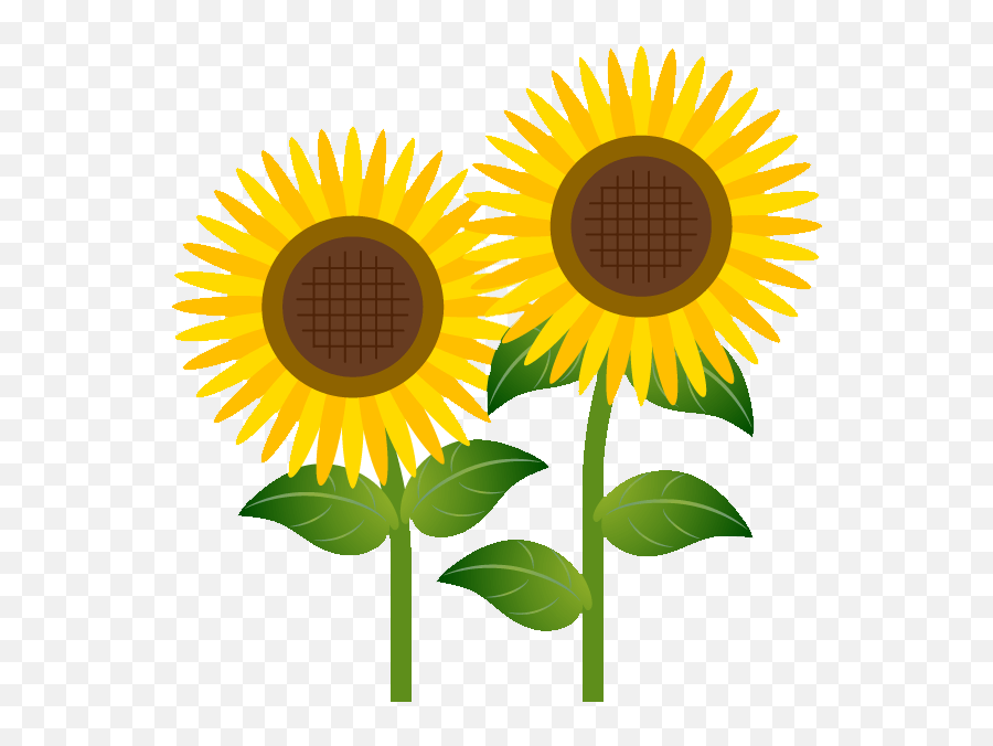 How To Download Flower Cliparts - Clipart Transparent Sunflower Clipart Emoji,Transparent Sunflowers