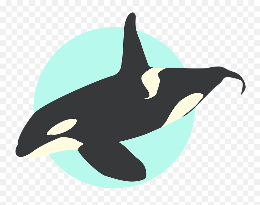 Whale Orca Ocean - Free Image On Pixabay Emoji,Orca Whale Clipart