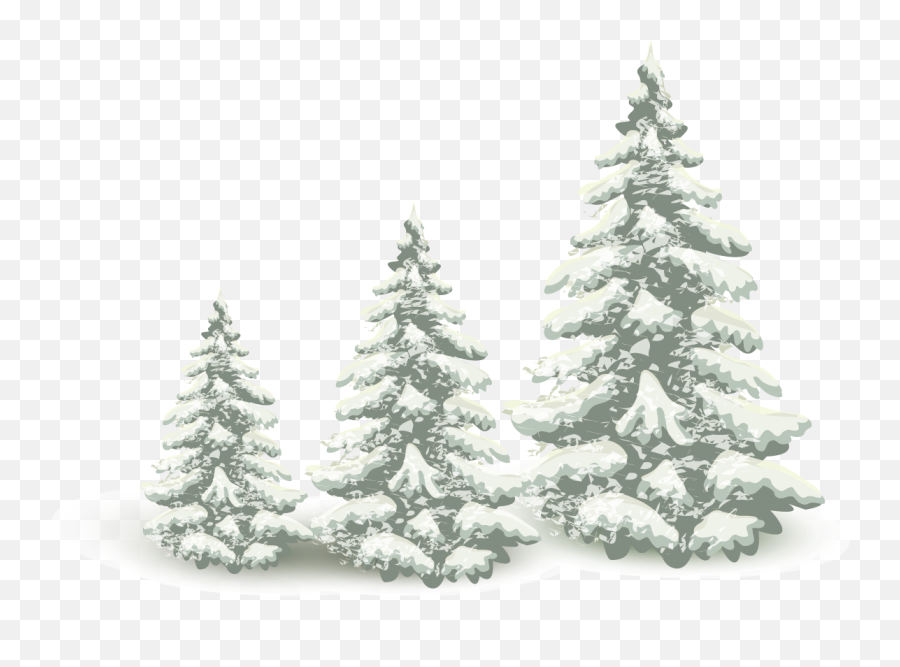 Falling Snow Pine Tree Png Download - 12401143 Free Tropical And Subtropical Coniferous Forests Emoji,Snow Transparent