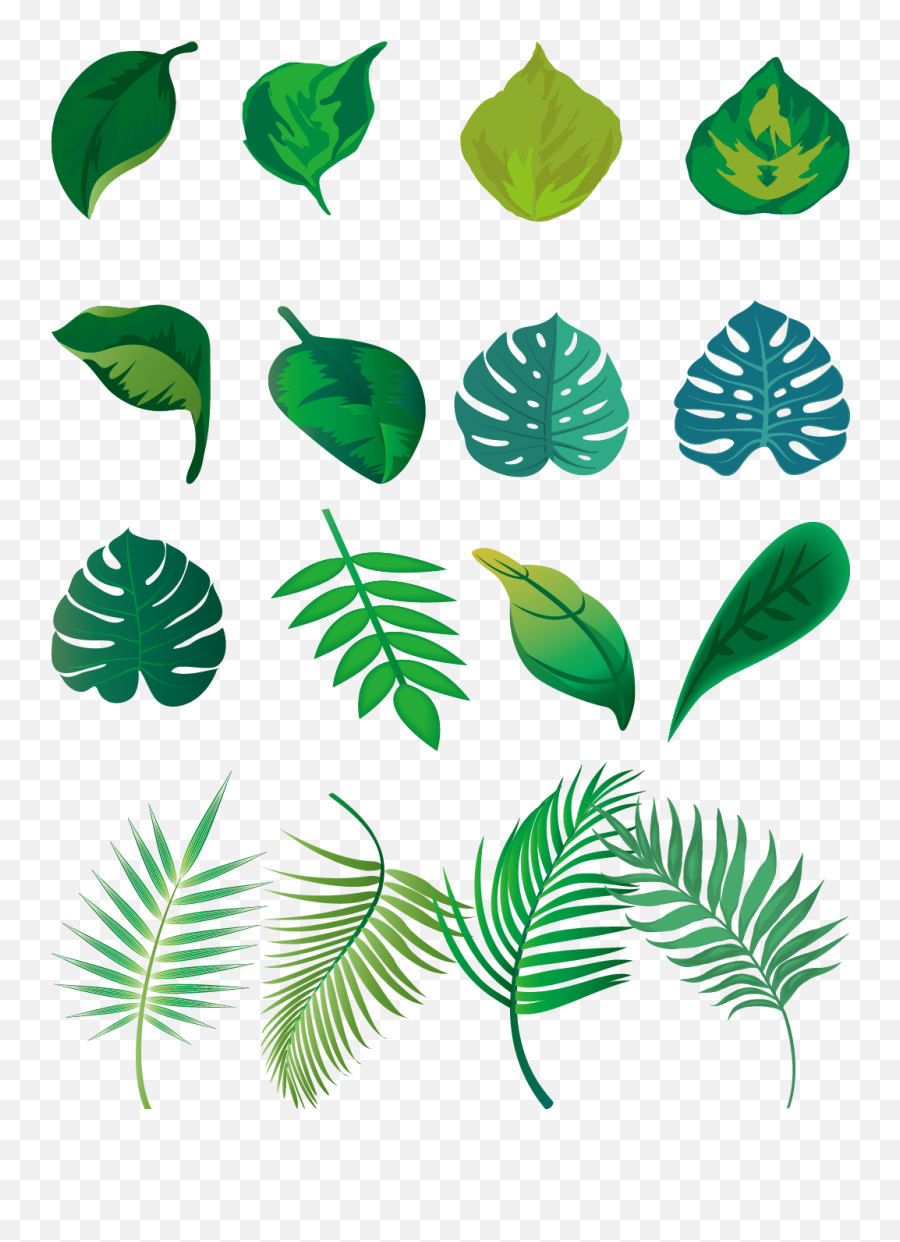 Download Hand Painted Fresh Green Leaves Png And Vector - Leaf Plant Vector Png Emoji,Green Leaves Png