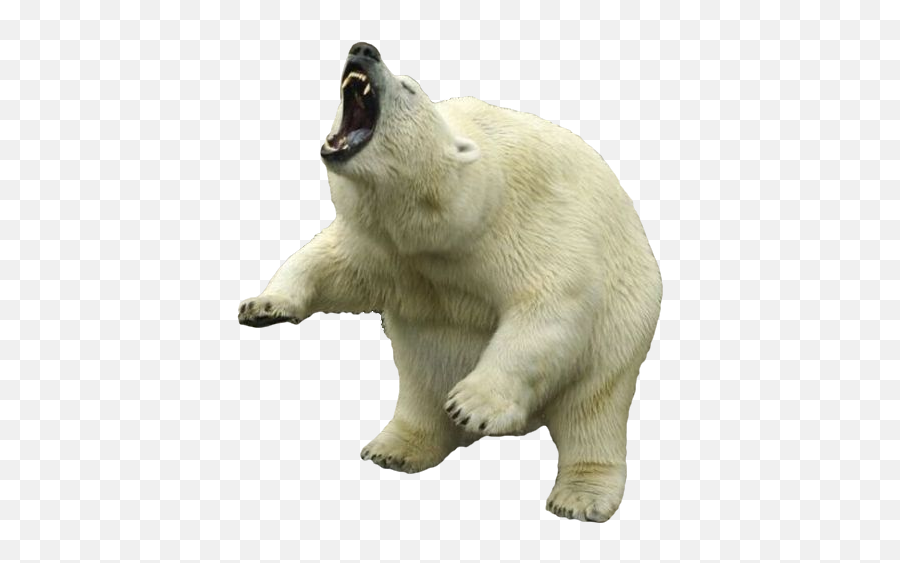Download Free Png Polar Bear Clipart - Polar Bear Roar Png Emoji,Polar Bear Clipart
