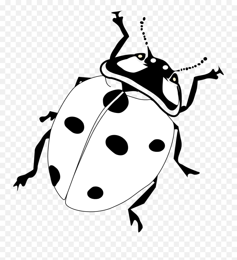 Chicago - Realistic Ladybug Coloring Page Emoji,Blackhawks Logo