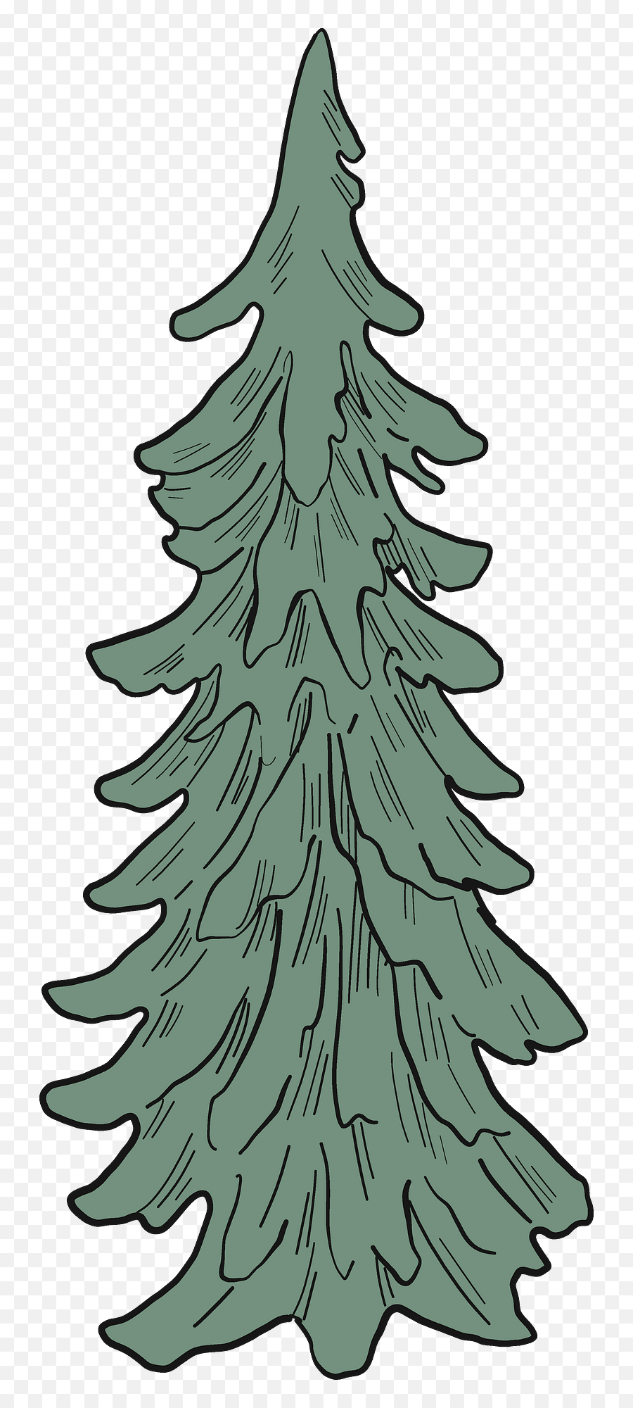 Evergreen Tree Clipart Free Download Transparent Png - Boreal Conifer Emoji,Evergreen Png