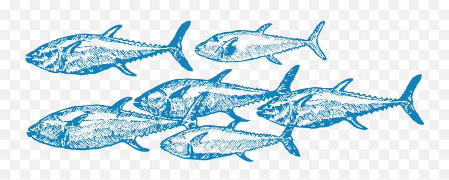 Fish Drawing - School Of Fish Drawing Png Transparent Emoji,School Of Fish Png