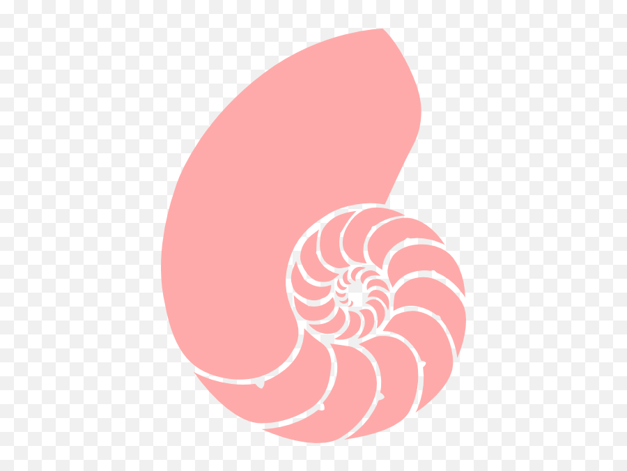 Pink Nautilus Shell Clip Art At Clker - Transparent Background Pink Seashell Clipart Emoji,Shells Clipart