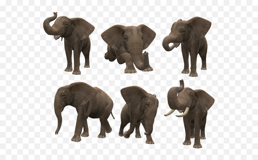 Elephant Png Clipart - Png 5410 Free Png Images Starpng African Elephants Emoji,Elephant Png