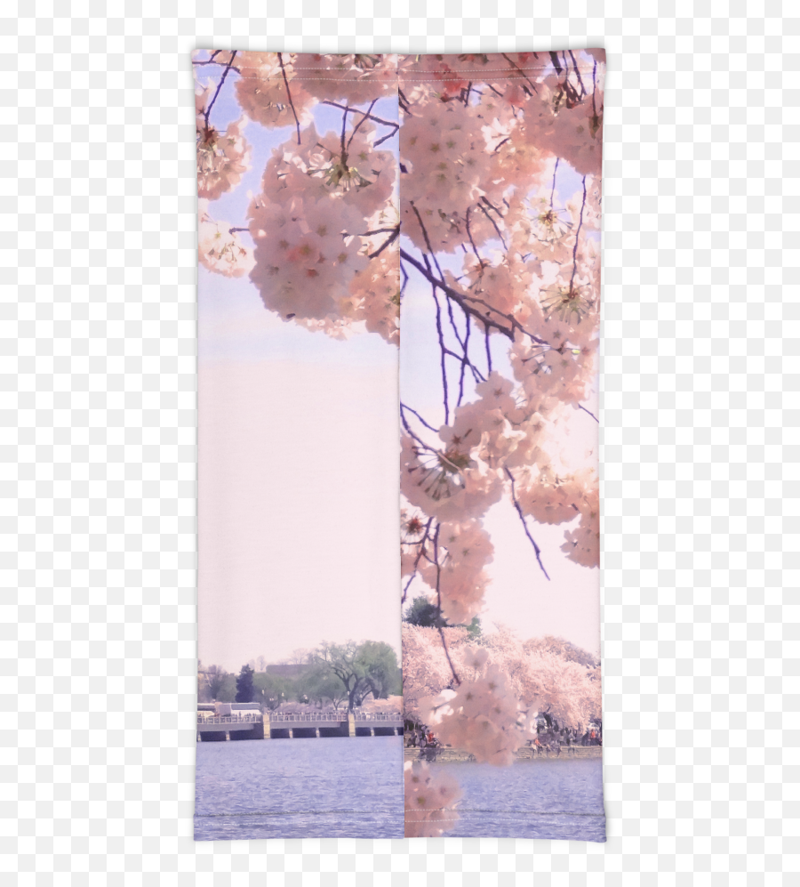 Cherry Blossoms Face Shield 7th U0026 F Emoji,Cherry Blossom Branch Png