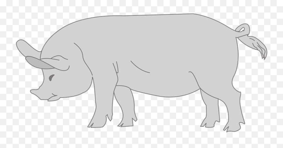 Free Photo Gray Animal Curly Barn Pig Farm Tail - Max Pixel Emoji,Pig Outline Clipart