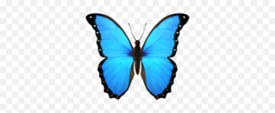 Butterfly Emoji Domain Iphone Ios - Butterfly Png Download Transparent Background Butterfly Emoji Transparent,Butterfly Png