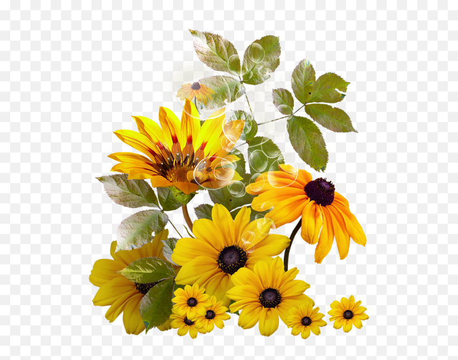 Fleurs Flores Flowers Bloemen Png - Sunflower Cupcake Toppers Emoji,Pinterest Png