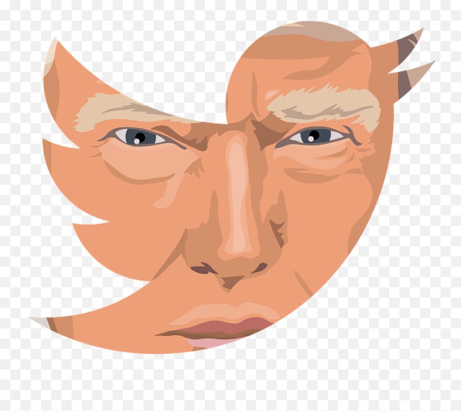 Donald Trump Twitter Social Media - Trump Sicial Media Cartoon Emoji,Twitter Png