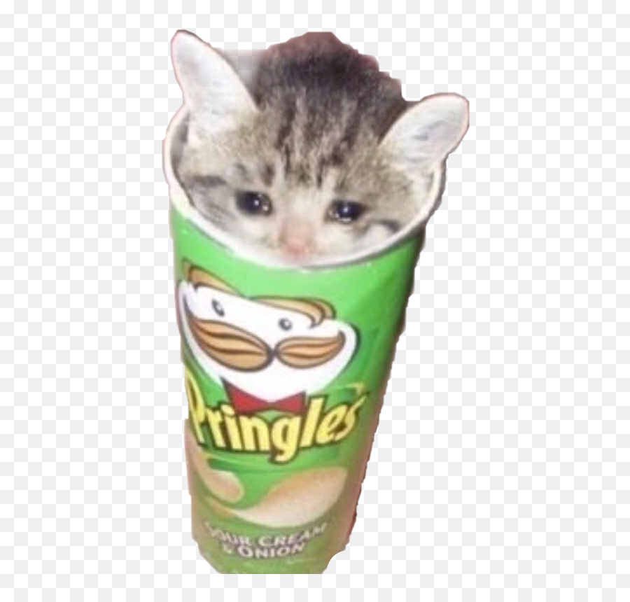 Sad Pringles Sticker By Ac U003d Theythem Emoji,Crying Cat Meme Transparent