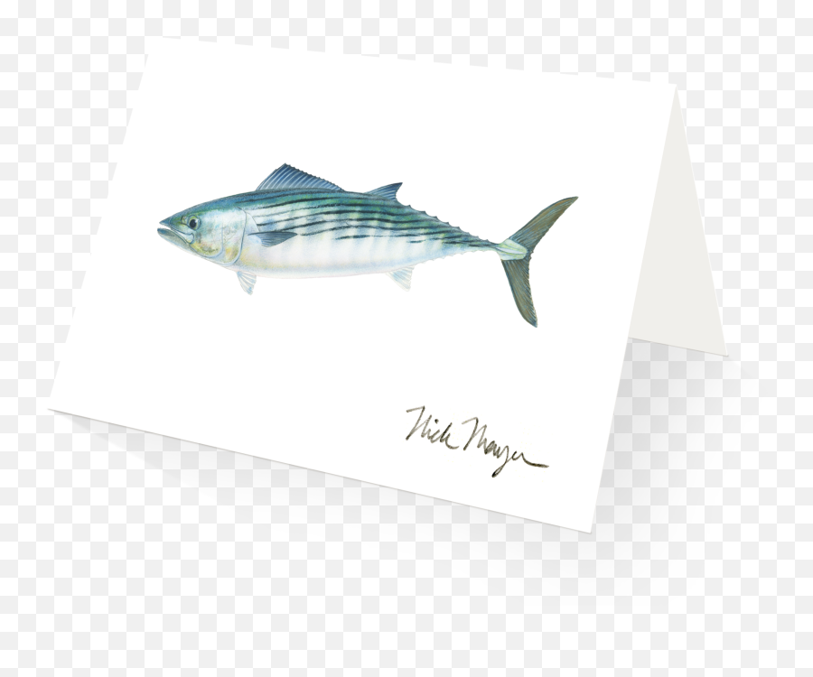 Bonito Vu003d1524851222 - Albacore Fish Striper Bass Emoji,Bass Fish Clipart