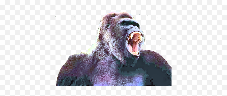The Gorilla The Online Story Bank Emoji,Gorilla Png