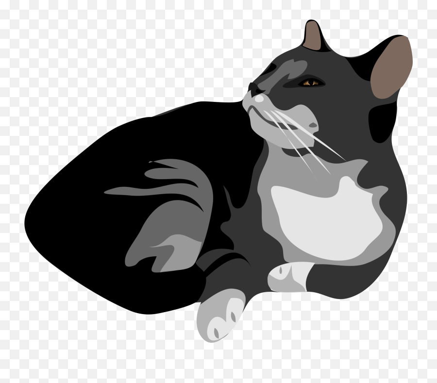 Clipart - Clipart Cats Transparent Cartoon Jingfm Gatto Clipart Emoji,Black Cat Transparent