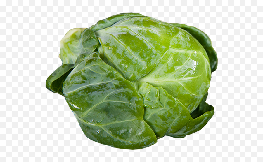 Brussels Sprouts - Brussel Sprout Png Emoji,Sprout Png