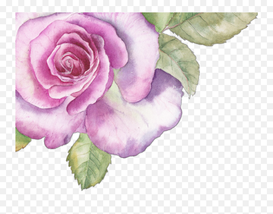 Download Hd Ftestickers Sticker - Pink Purple Watercolor Emoji,Transparent Watercolor Flowers