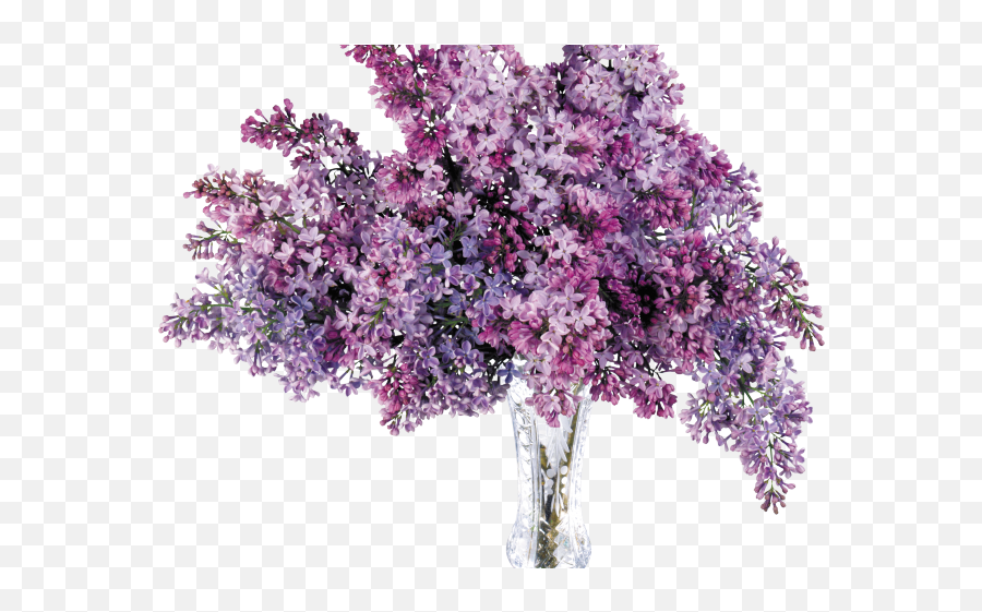 Download Hydrangea Clipart Plant Png - Flower Vase Emoji,Vase Of Flowers Clipart