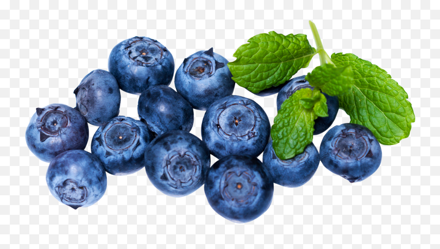 Fresh Blueberries Png Image - Fresh Blueberry Image Free Download Emoji,Blueberry Png