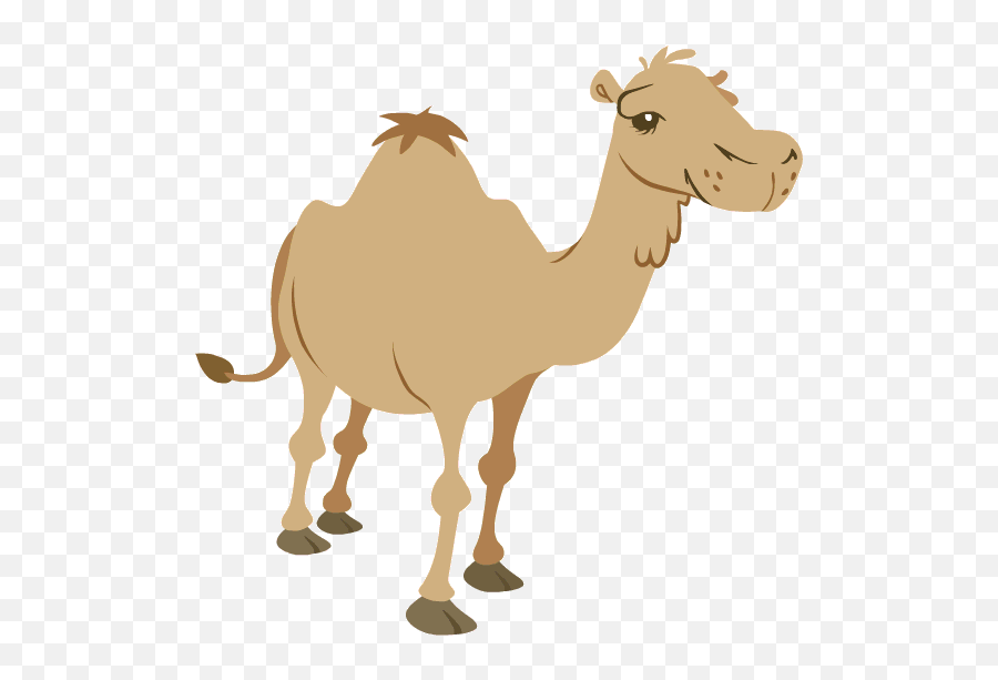 Camel - Chew Animation Animated Gif Moving Camels Walking Animated Transparent Camel Png Emoji,Animated Clipart