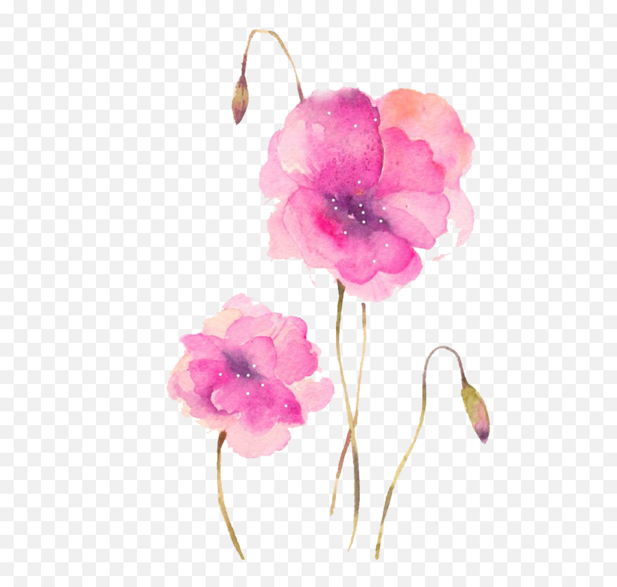 Watercolour Flowers Watercolor Painting Flower Pink Plant Emoji,Transparent Watercolor Flowers
