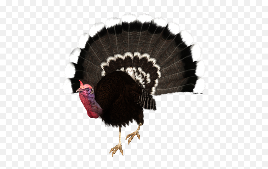 Download Hd Real Turkey - Turkey With No Background Emoji,Wild Turkey Logo