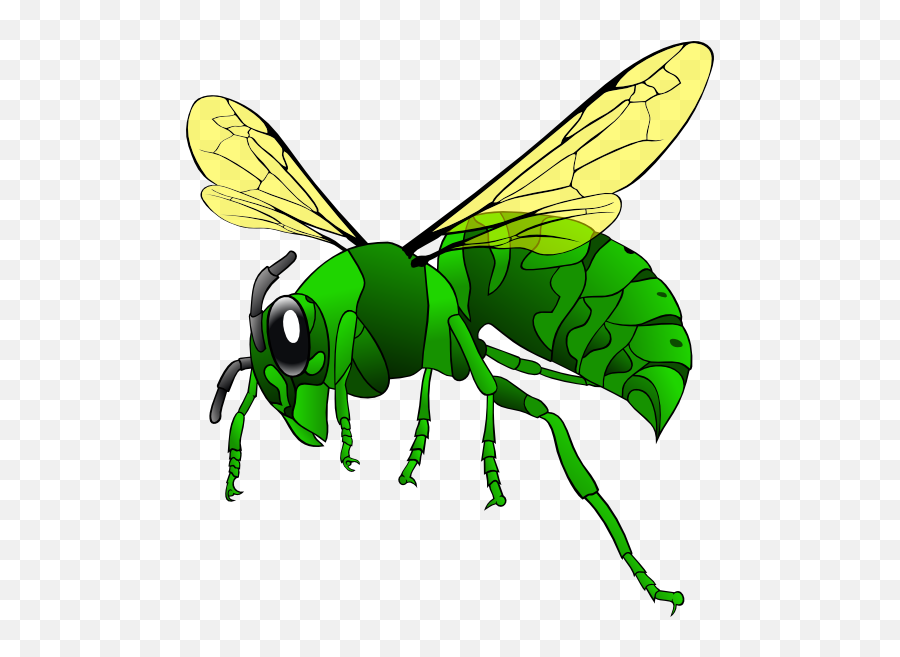 Green Hornet Clip Art At Clkercom - Vector Clip Art Online Emoji,Hornets Logo Png